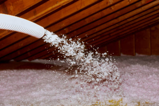 Best Fiberglass Insulation in Leonardtown, MD