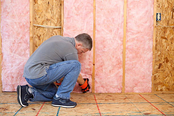 Best Specialized Insulation Services in Leonardtown, MD
