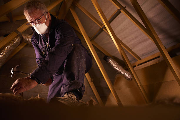 Professional Insulation Contractor in Leonardtown, MD